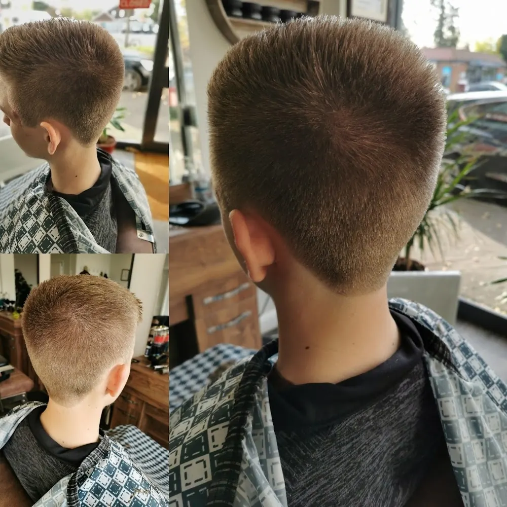 A boy’s fresh haircut, seen from behind